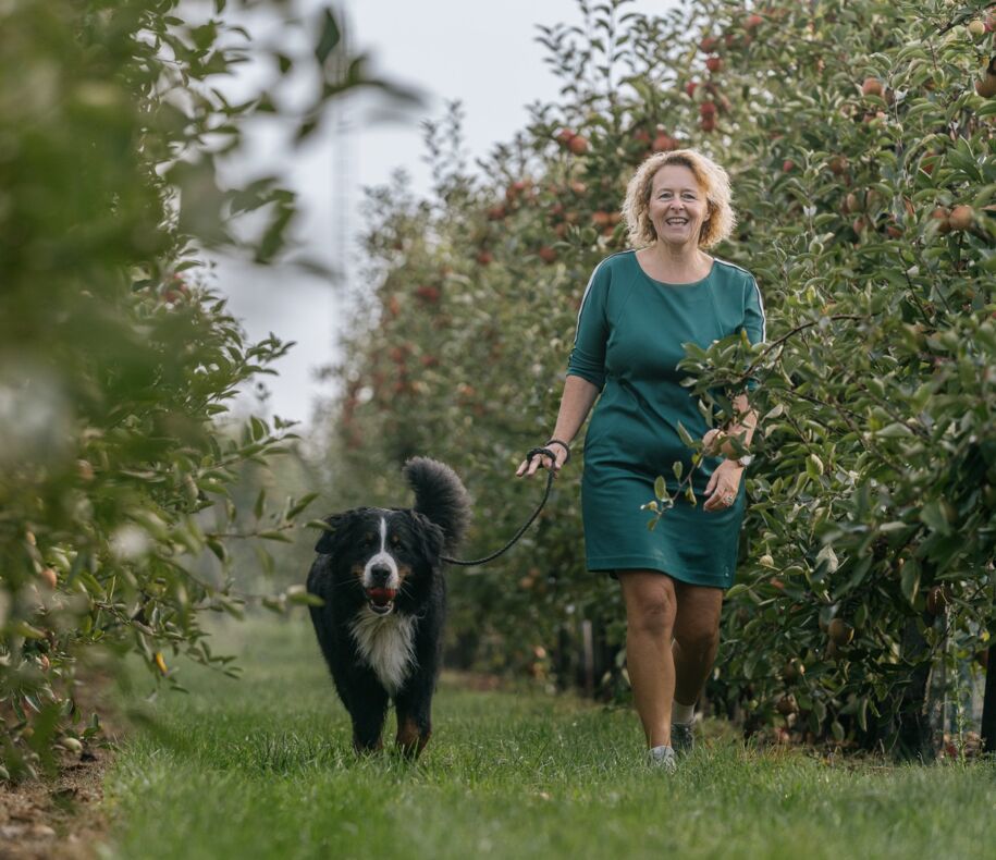 work-life-balans-sterkopjewerk work-life-balans-sterkopjewerk