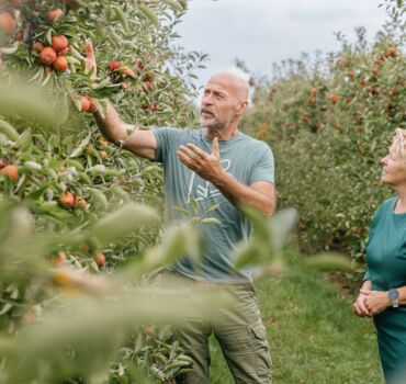 loopbaanbegeleiding-voor-ondernemers-sterkopjewerk loopbaanbegeleiding-voor-ondernemers-sterkopjewerk